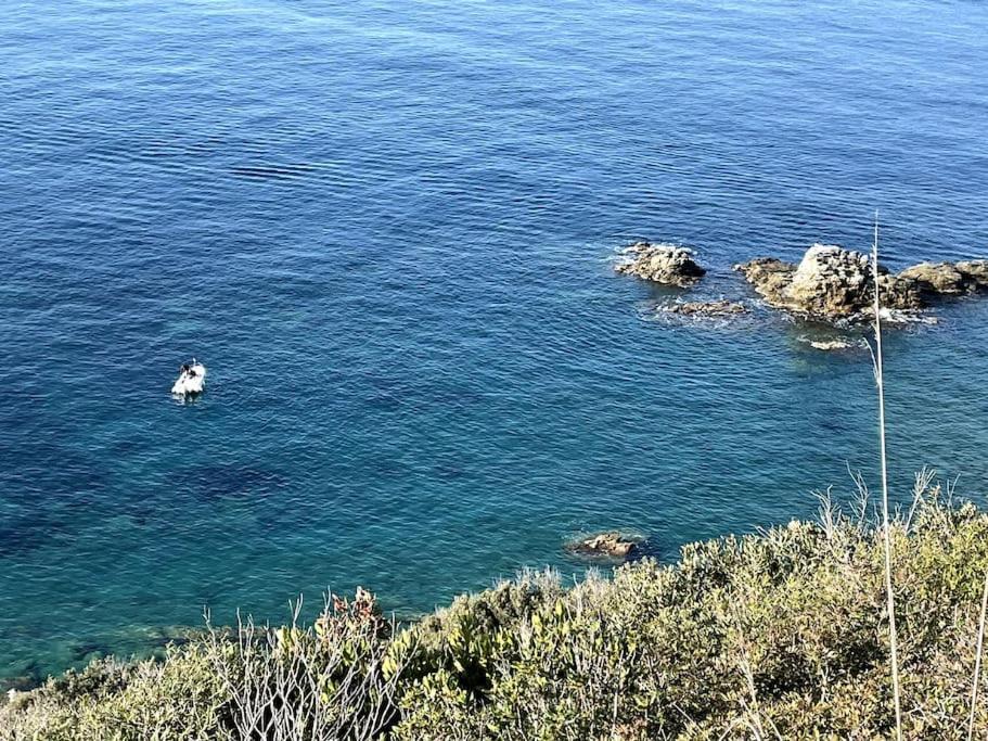 La Casina A Piombino Appartement Buitenkant foto